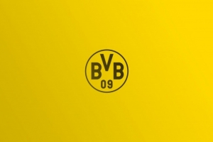 多特欧冠注册25人名单：小贝林厄姆领衔，聚勒&施洛特贝克在列